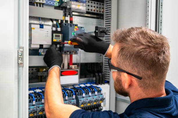 Best Electric Panel Repair  in Larimore, ND