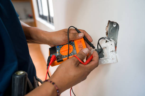 Best Electric Panel Repair  in Larimore, ND