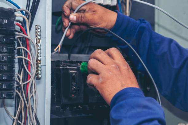 Best Electrical System Inspection  in Larimore, ND